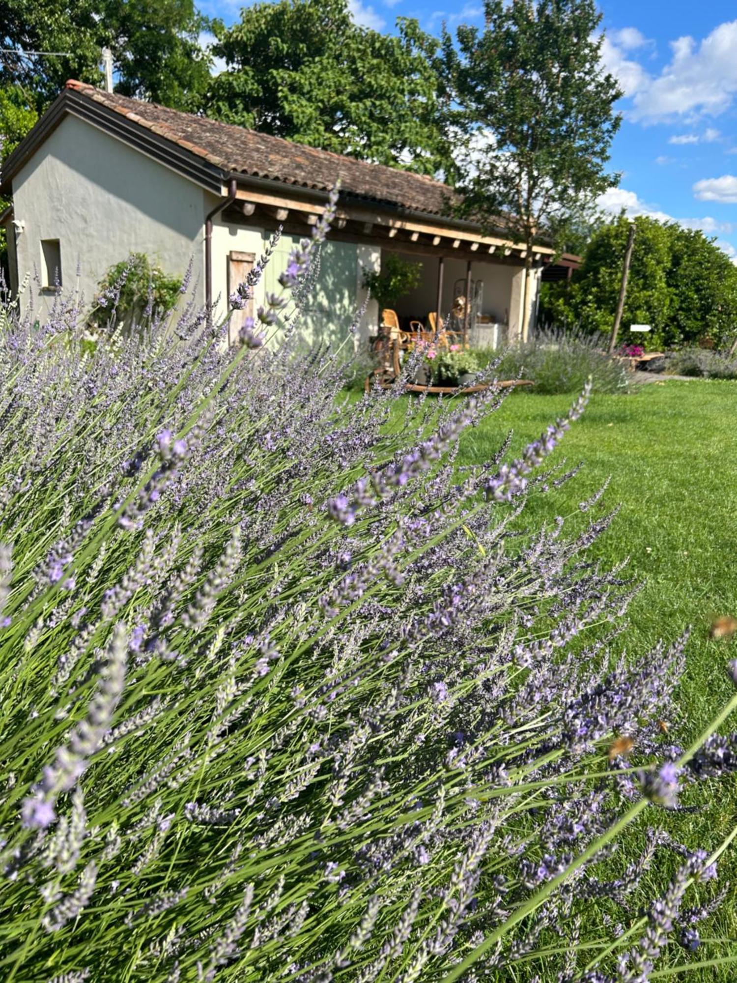 Il Glicine - Natural Bnb Castello Di Godego Exterior photo